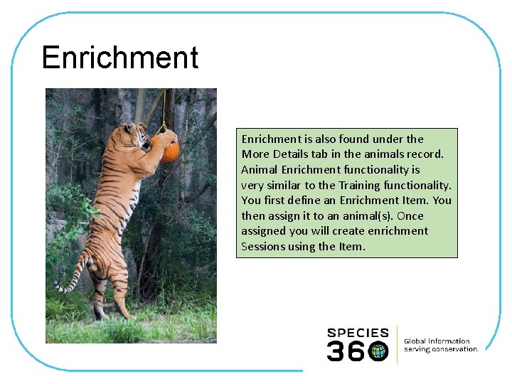 Enrichment is also found under the More Details tab in the animals record. Animal