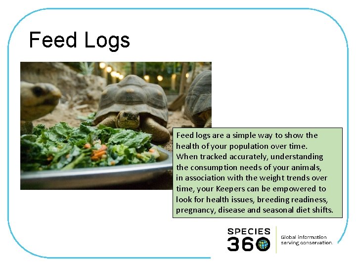 Feed Logs Feed logs are a simple way to show the health of your