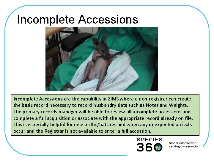 Incomplete Accessions are the capability in ZIMS where a non-registrar can create the basic