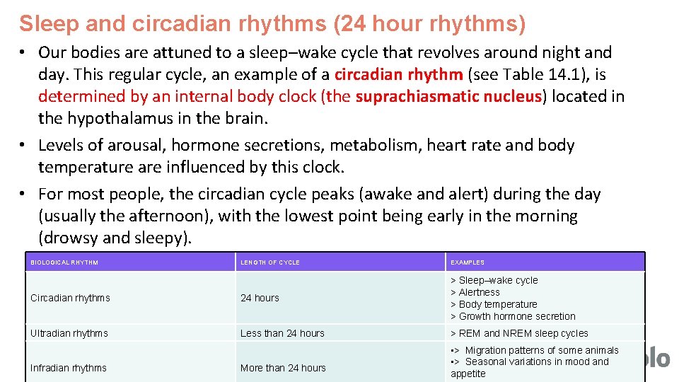 Sleep and circadian rhythms (24 hour rhythms) • Our bodies are attuned to a