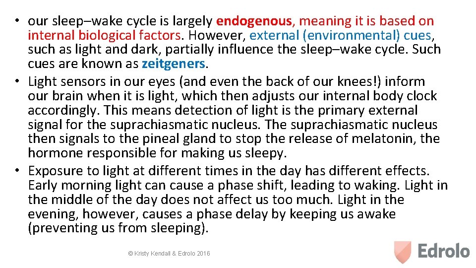  • our sleep–wake cycle is largely endogenous, meaning it is based on internal