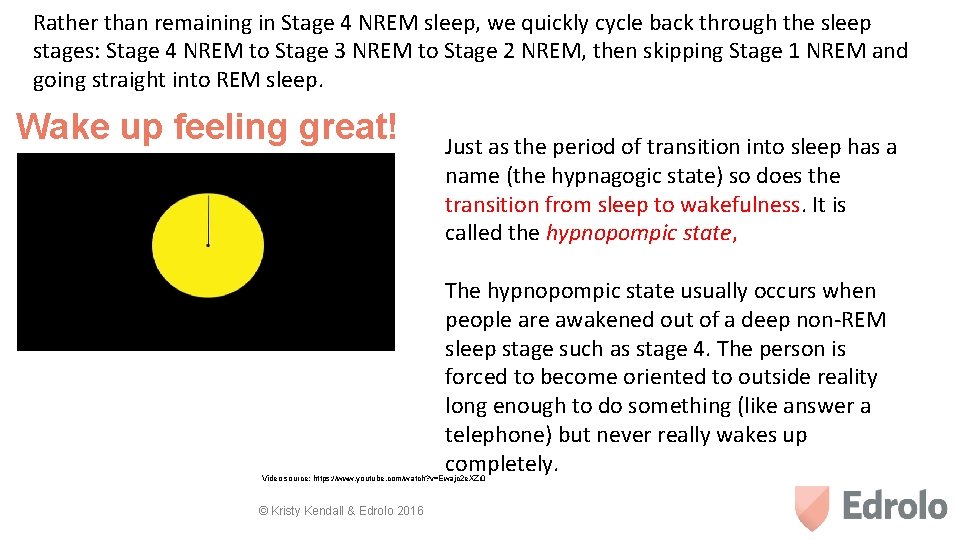 Rather than remaining in Stage 4 NREM sleep, we quickly cycle back through the