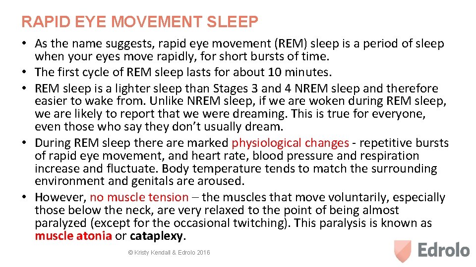 RAPID EYE MOVEMENT SLEEP • As the name suggests, rapid eye movement (REM) sleep