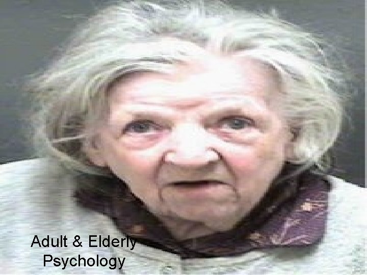 Adult & Elderly Psychology 
