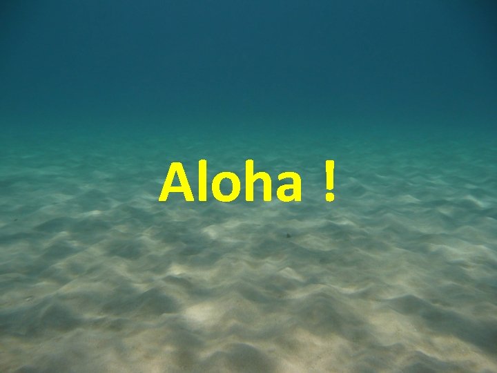 Aloha ! 