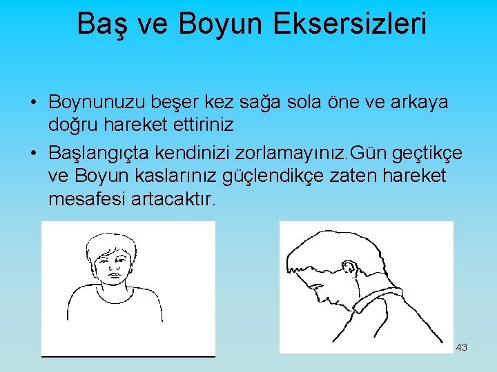 Baş ve Boyun Eksersizleri • Boynunuzu beşer kez sağa sola öne ve arkaya doğru