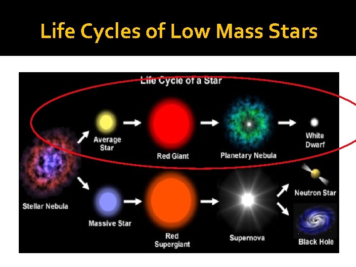 Life Cycles of Low Mass Stars � © Sea & Sky 