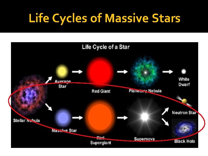 Life Cycles of Massive Stars � © Sea & Sky 