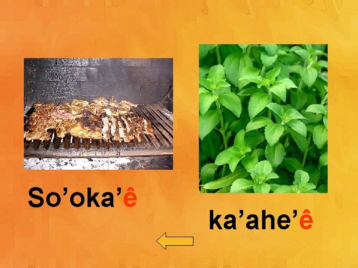 So’oka’ê ka’ahe’ê 