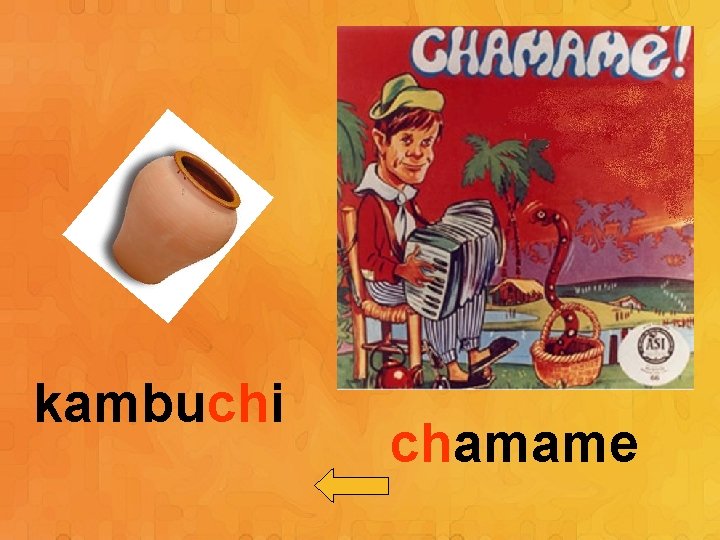 kambuchi chamame 