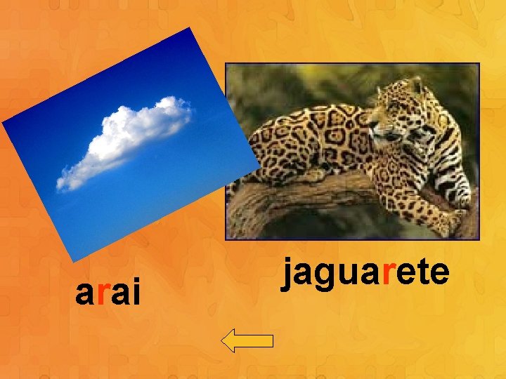 arai jaguarete 