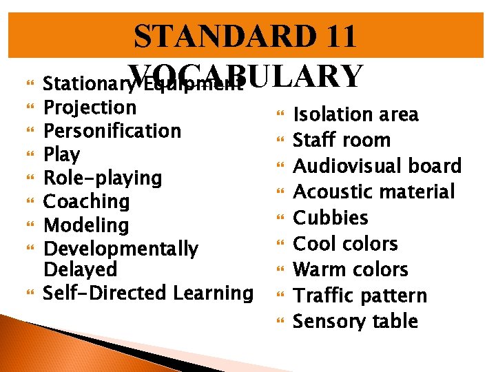  STANDARD 11 Stationary. VOCABULARY Equipment Projection Personification Play Role-playing Coaching Modeling Developmentally Delayed