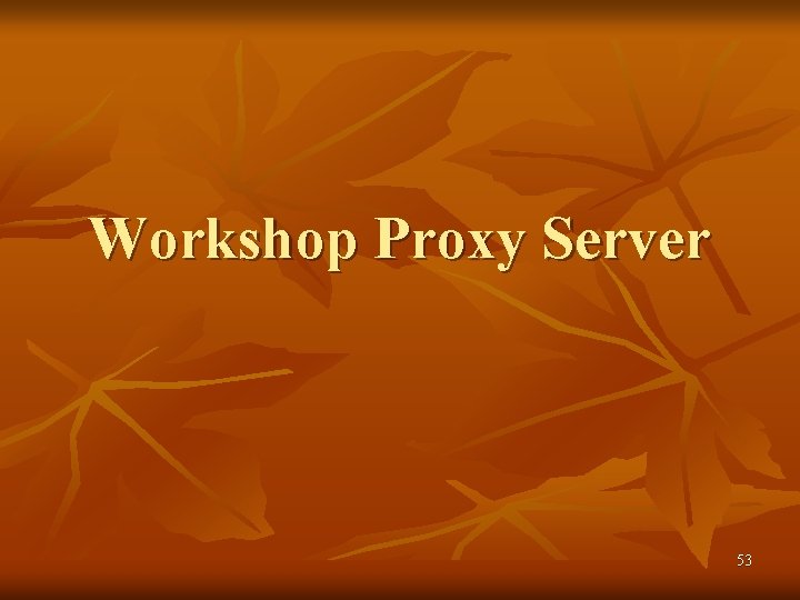 Workshop Proxy Server 53 