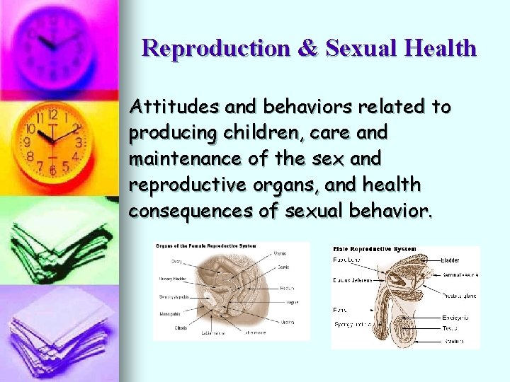 Reproduction & Sexual Health Attitudes and behaviors related to producing children, care and maintenance
