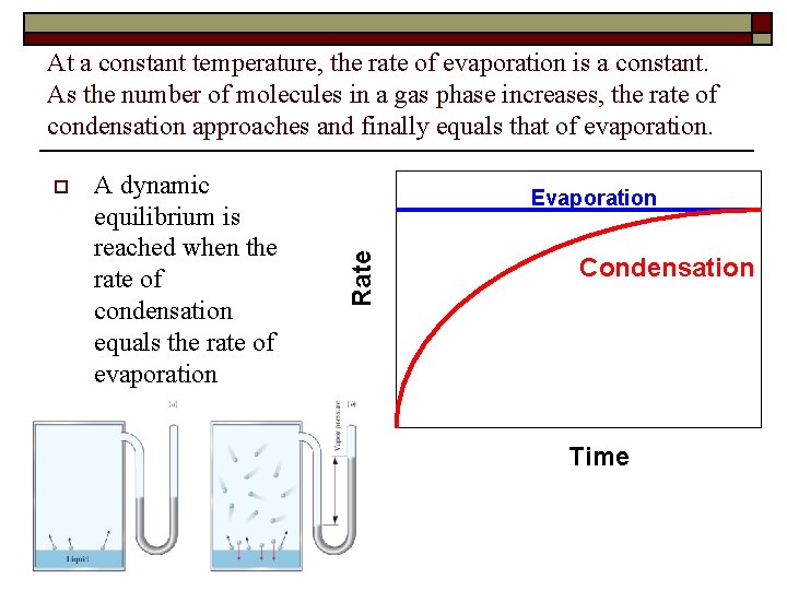 At a constant temperature, the rate of evaporation is a constant. As the number