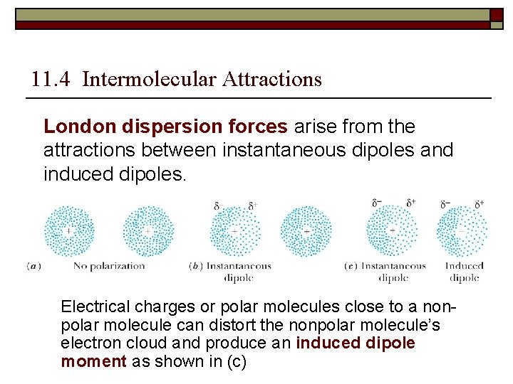 11. 4 Intermolecular Attractions London dispersion forces arise from the attractions between instantaneous dipoles