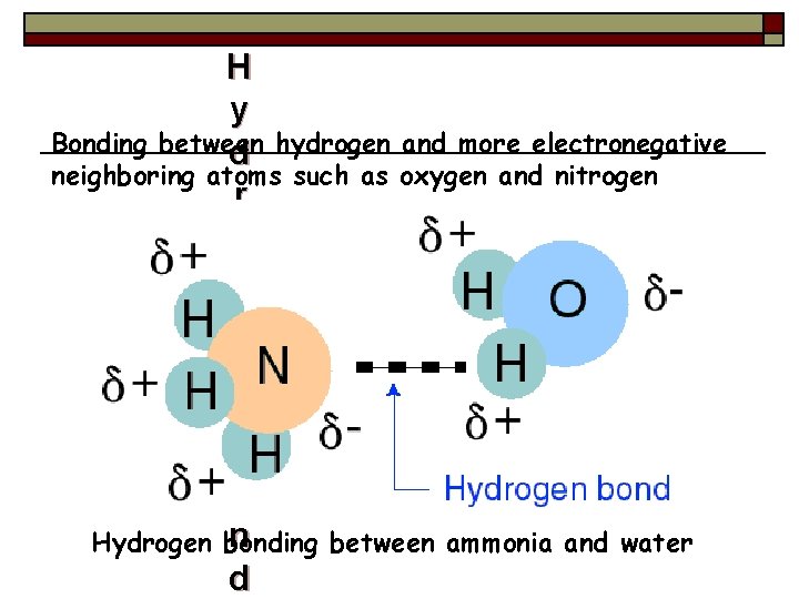 H y Bonding between d hydrogen and more electronegative neighboring atoms such as oxygen
