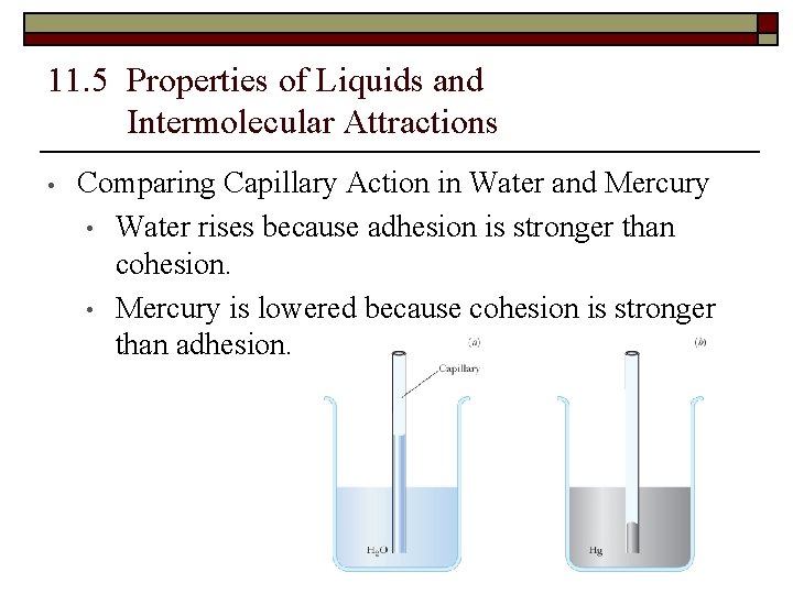 11. 5 Properties of Liquids and Intermolecular Attractions • Comparing Capillary Action in Water
