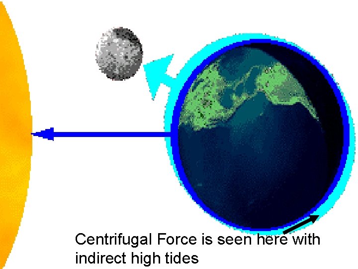 Centrifugal Force is seen here with indirect high tides 