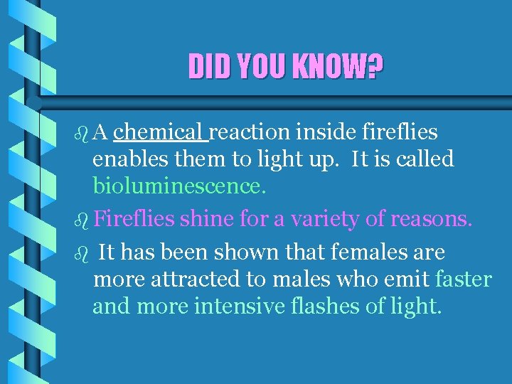 DID YOU KNOW? b. A chemical reaction inside fireflies enables them to light up.