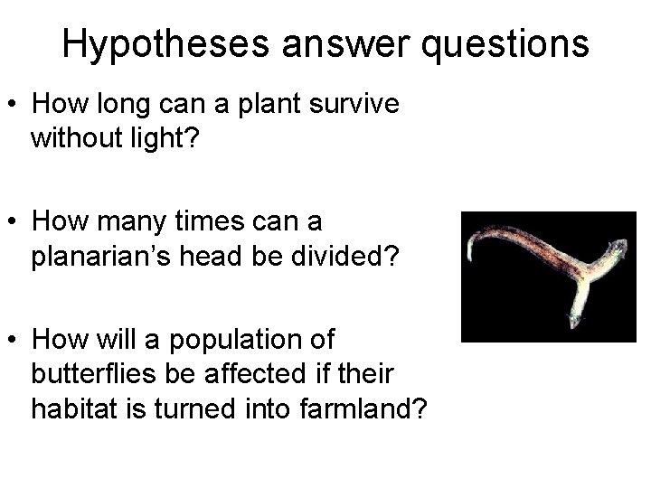 Hypotheses answer questions • How long can a plant survive without light? • How Hypotheses answer questions • How long can a plant survive without light? • How