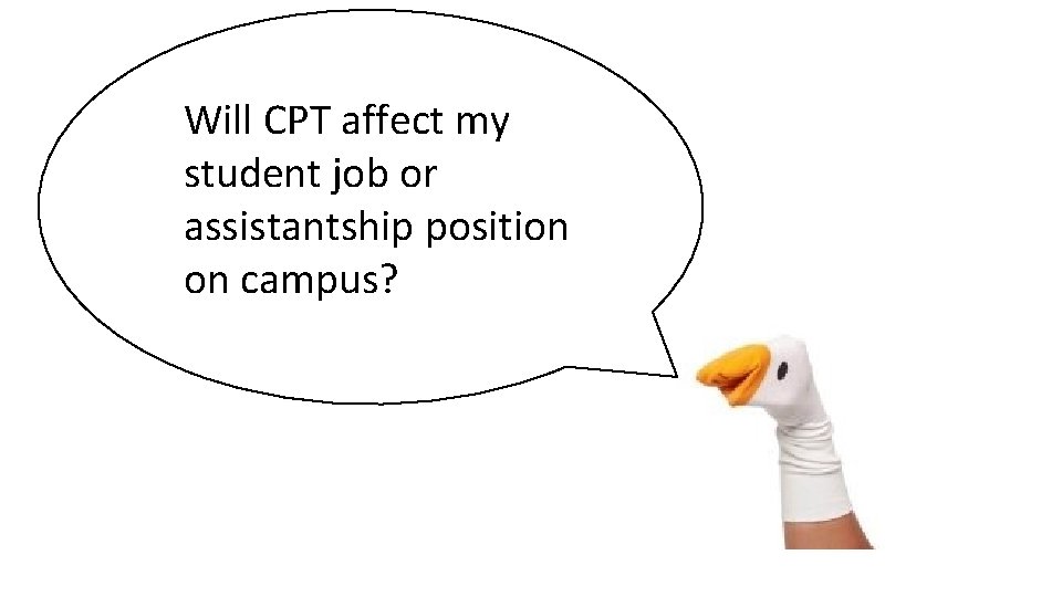 Will CPT affect my student job or assistantship position on campus? Will CPT affect my student job or assistantship position on campus?