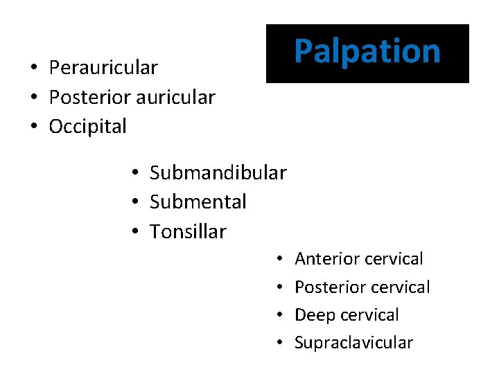 Palpation • Perauricular • Posterior auricular • Occipital • Submandibular • Submental • Tonsillar