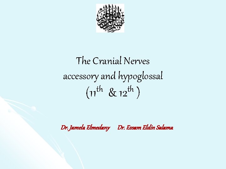 The Cranial Nerves accessory and hypoglossal (11 th & 12 th ) Dr. Jamela
