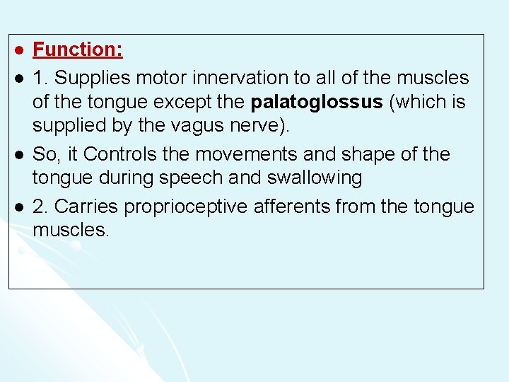 l l Function: 1. Supplies motor innervation to all of the muscles of the