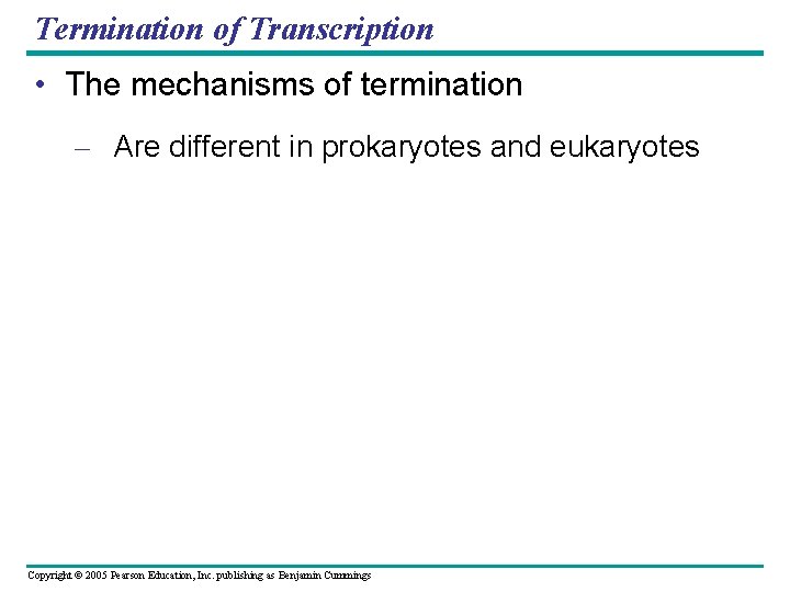 Termination of Transcription • The mechanisms of termination – Are different in prokaryotes and