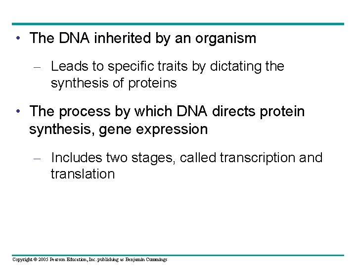  • The DNA inherited by an organism – Leads to specific traits by
