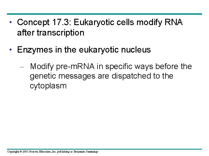  • Concept 17. 3: Eukaryotic cells modify RNA after transcription • Enzymes in