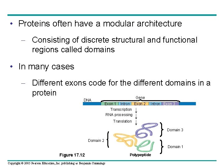  • Proteins often have a modular architecture – Consisting of discrete structural and