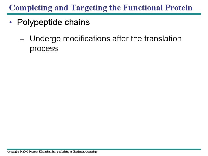 Completing and Targeting the Functional Protein • Polypeptide chains – Undergo modifications after the