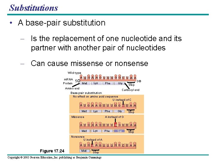 Substitutions • A base-pair substitution – Is the replacement of one nucleotide and its