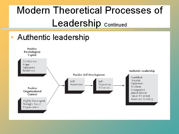 Modern Theoretical Processes of Leadership Continued • Authentic leadership Modern Theoretical Processes of Leadership Continued • Authentic leadership