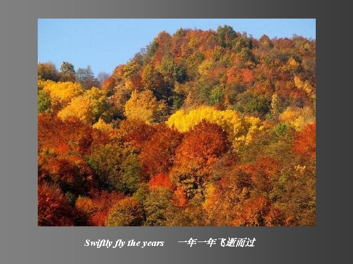 Swiftly fly the years 一年一年飞逝而过 