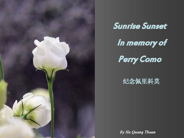 Sunrise Sunset In memory of Perry Como 纪念佩里科莫 By Ha Quang Thuan 
