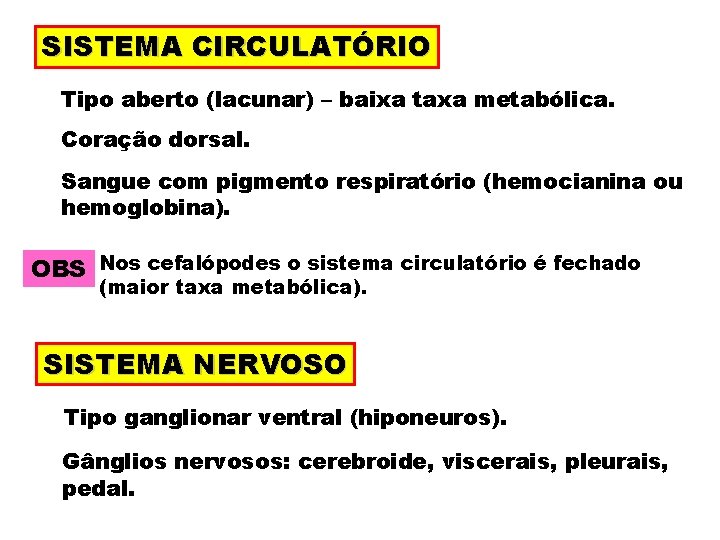 SISTEMA CIRCULATÓRIO Tipo aberto (lacunar) – baixa taxa metabólica. Coração dorsal. Sangue com pigmento