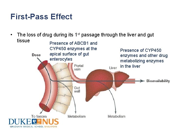 First-Pass Effect • The loss of drug during its 1 st passage through the