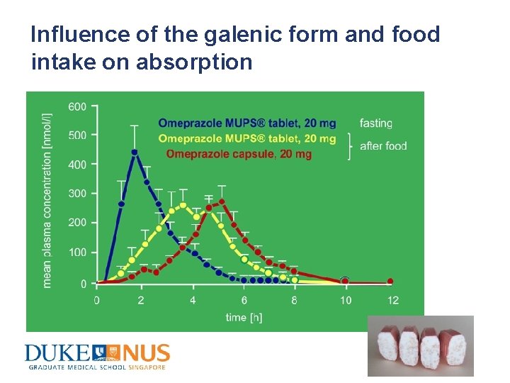 Influence of the galenic form and food intake on absorption 