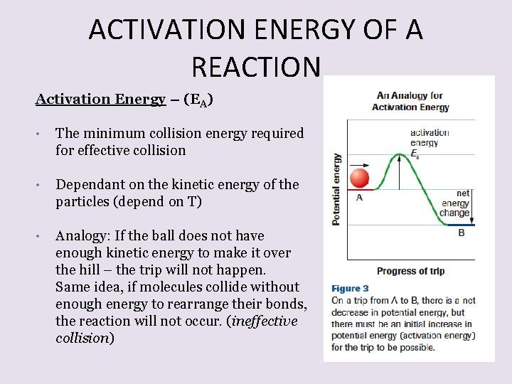 ACTIVATION ENERGY OF A REACTION Activation Energy – (EA) • The minimum collision energy