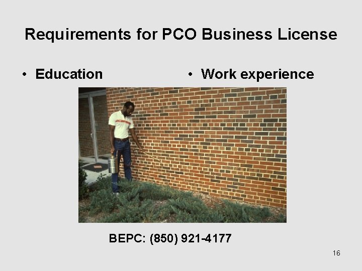 Requirements for PCO Business License • Education • Work experience BEPC: (850) 921 -4177