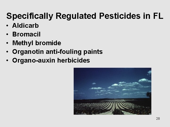 Specifically Regulated Pesticides in FL • • • Aldicarb Bromacil Methyl bromide Organotin anti-fouling