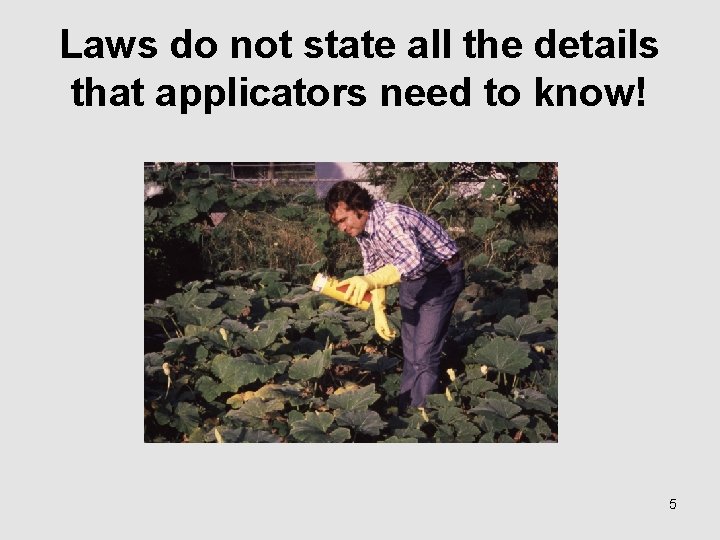 Laws do not state all the details that applicators need to know! 5 