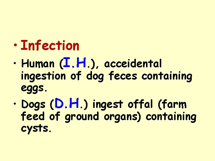 • Infection • Human (I. H. ), acceidental ingestion of dog feces containing • Infection • Human (I. H. ), acceidental ingestion of dog feces containing