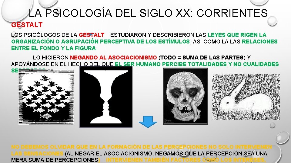 LA PSICOLOGÍA DEL SIGLO XX: CORRIENTES GESTALT LOS PSICÓLOGOS DE LA GESTALT ESTUDIARON Y