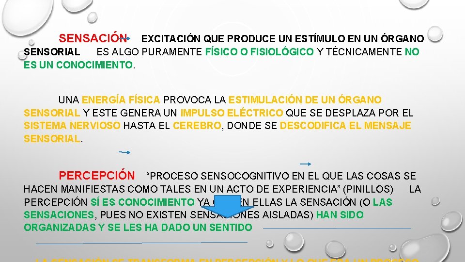 SENSACIÓN EXCITACIÓN QUE PRODUCE UN ESTÍMULO EN UN ÓRGANO SENSORIAL ES ALGO PURAMENTE FÍSICO