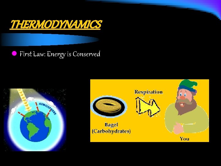 THERMODYNAMICS l First Law: Energy is Conserved 