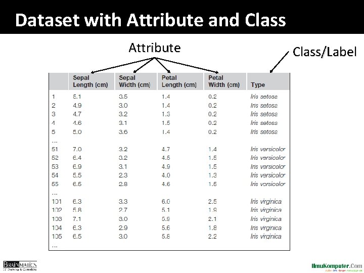 Dataset with Attribute and Class Attribute Class/Label 